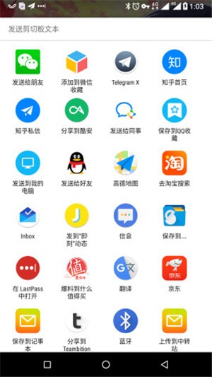 复制分享软件截图2