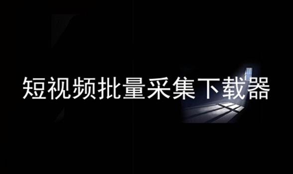 短视频批量采集下载器