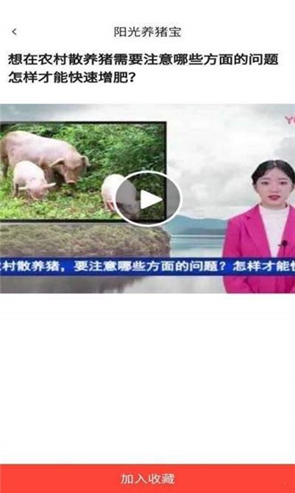 阳光养猪宝软件截图2