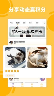 萌翻养猫