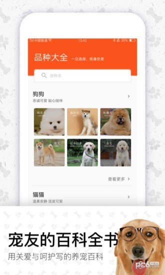 四只猫软件截图2