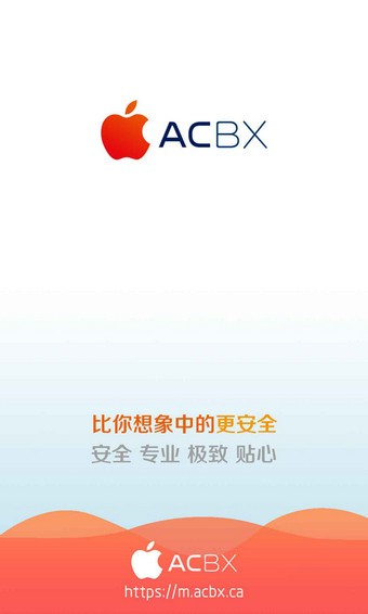 acbx苹果链软件截图1