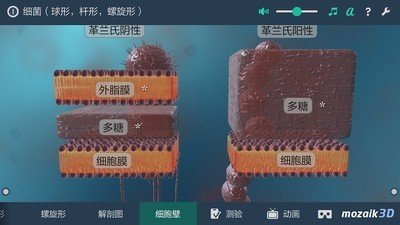 细菌互动教育3D软件截图3