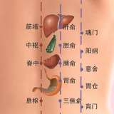 中医医学app排行榜