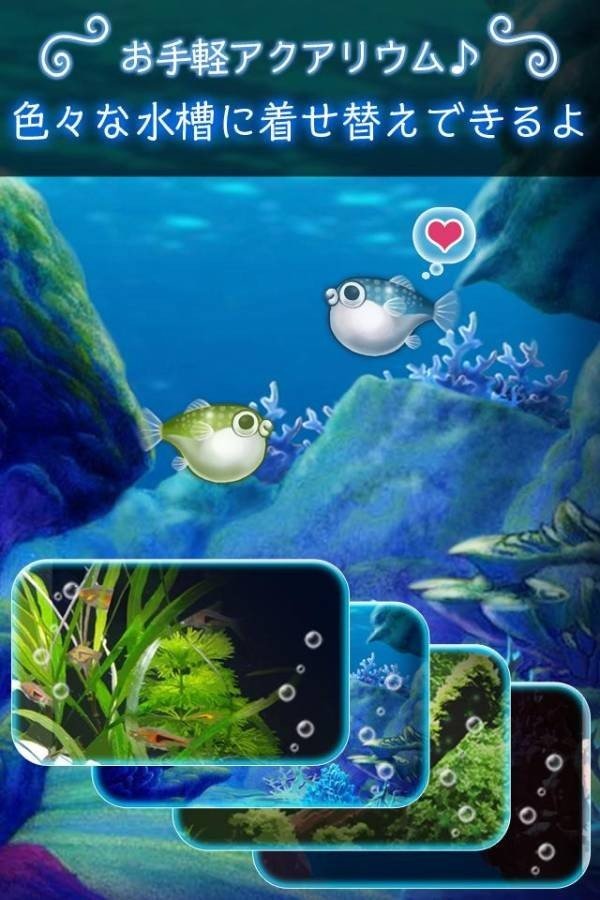 我的河豚鱼水族馆软件截图2