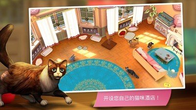 猫舍特别版软件截图1