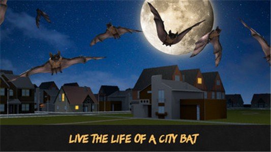 蝙蝠模拟器3D