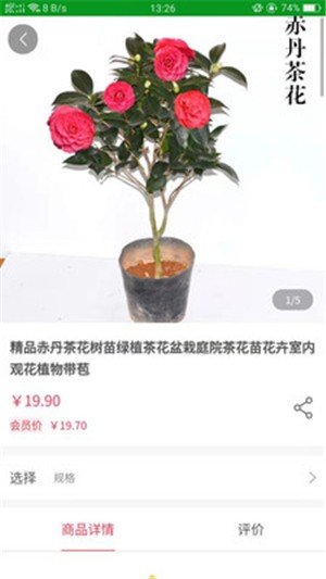 花博汇