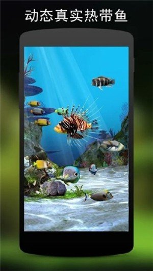 3D水族馆动态壁纸2020软件截图3