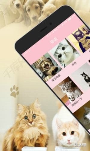 人猫狗翻译器软件截图3