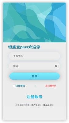 银盛宝plus软件截图0