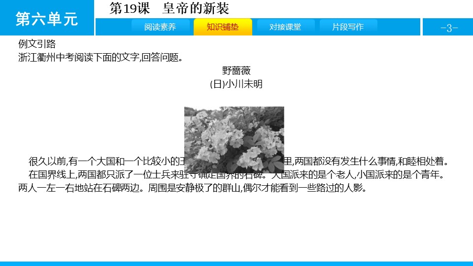 《皇帝的新装》PPT精品课件下载