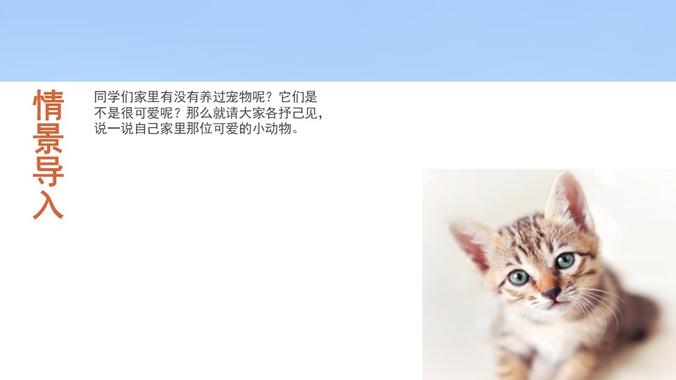 《猫》PPT免费课件下载