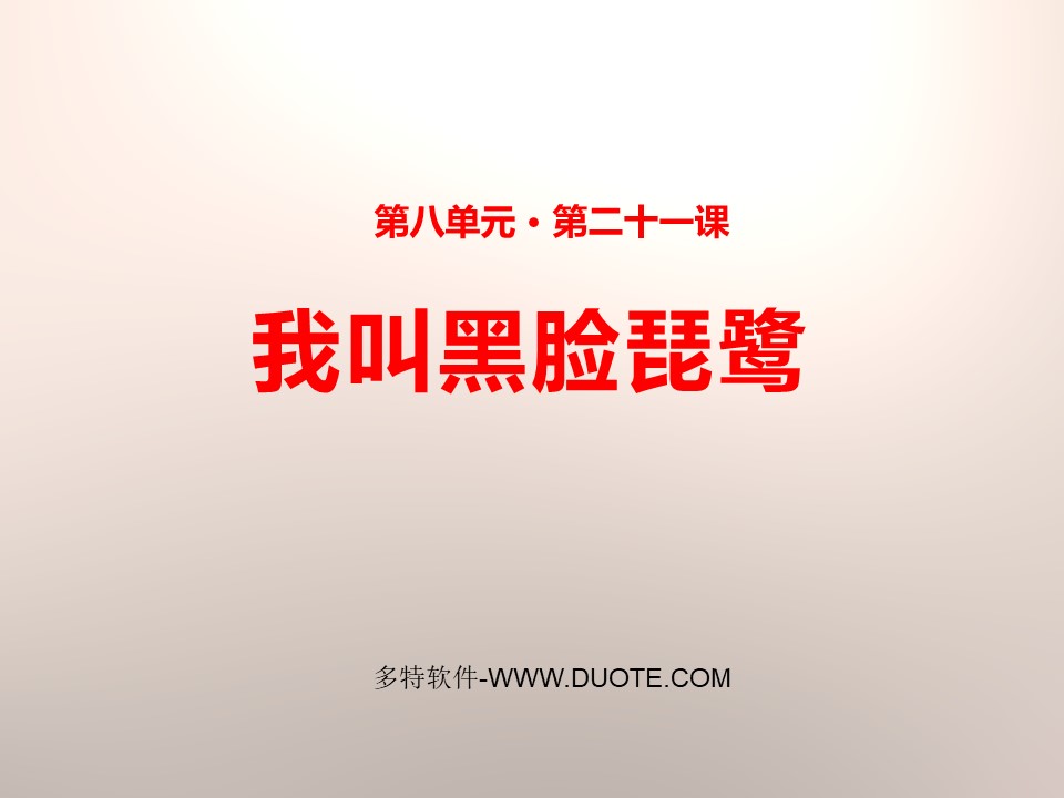 《我叫黑脸琵鹭》PPT下载