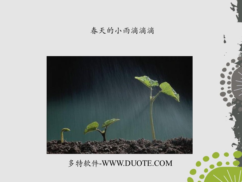 《春天的小雨滴滴滴》PPT课件3下载