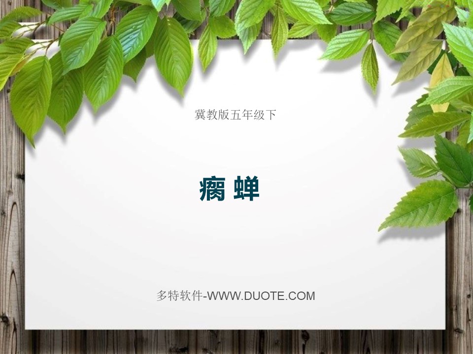 《瘸蝉》PPT课件2下载