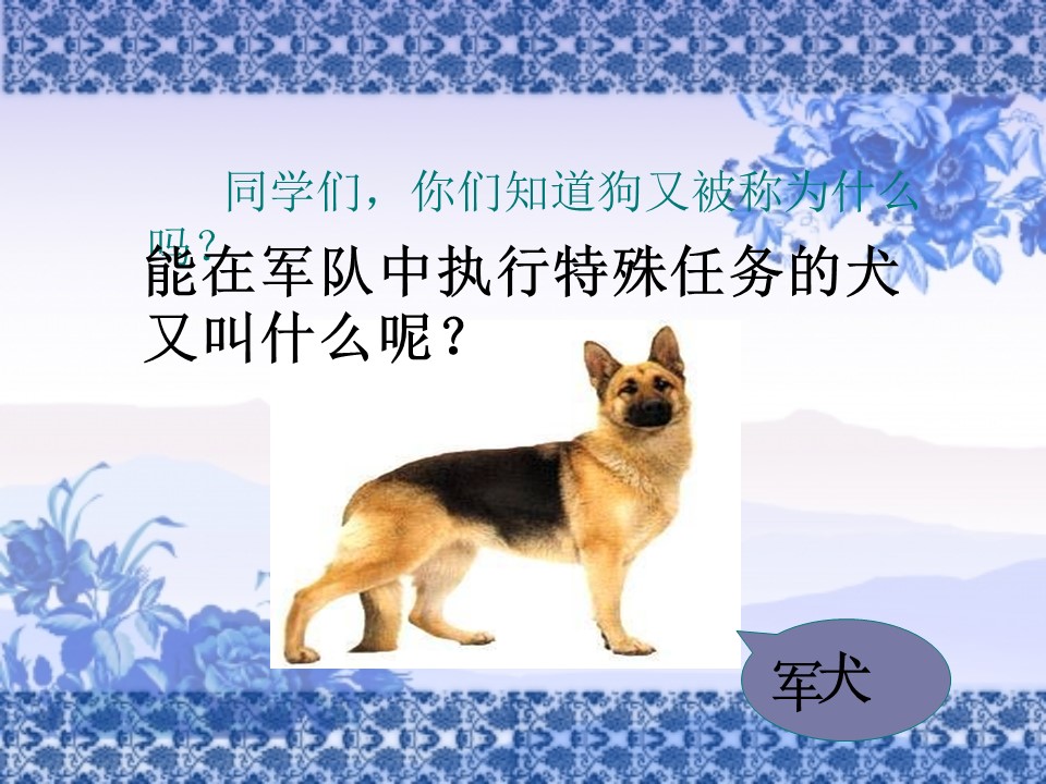 《军犬黑子》PPT课件下载