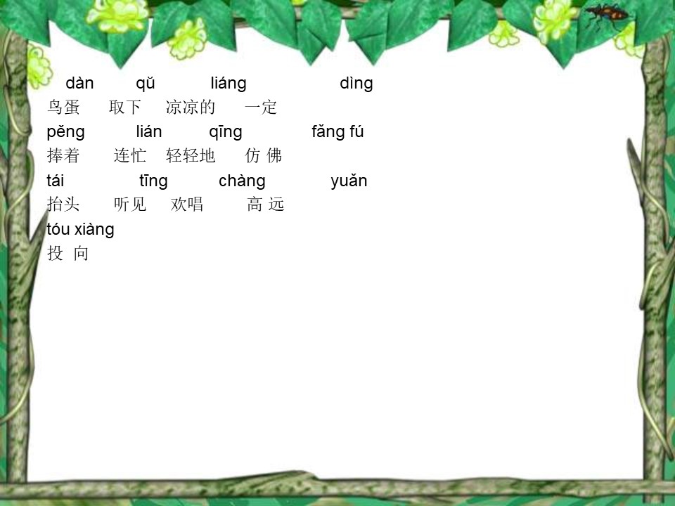 《两只鸟蛋》PPT课件5下载