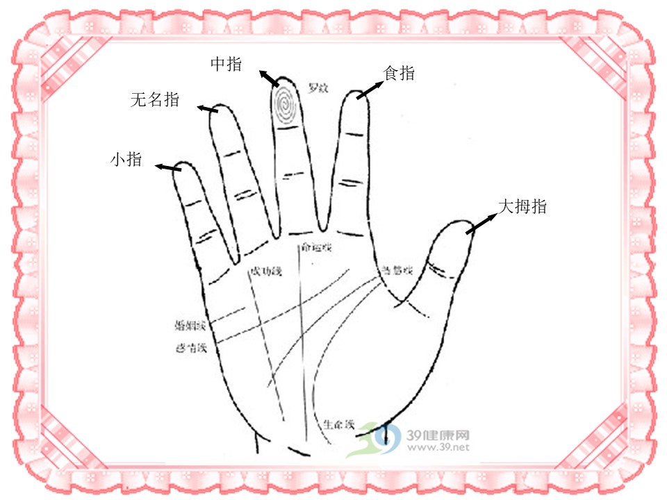 《手指》PPT课件4下载