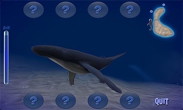 座头鲸模拟器软件截图2