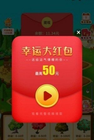 梦想果园小财神版软件截图2