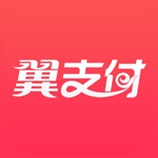 翼支付