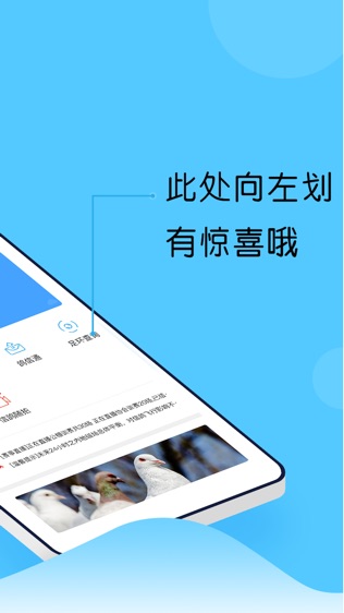 中鸽网软件截图1