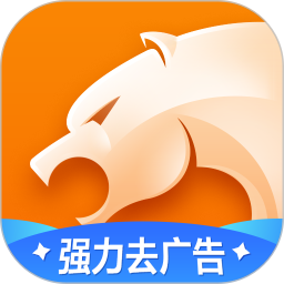 猎豹浏览器4.64.1版