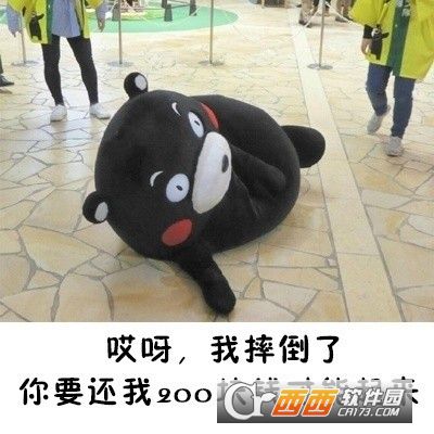 提醒别人还钱的表情包无水印版下载