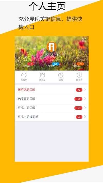 C3Timesheet工时管理系统软件截图4