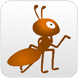 蚂蚁英语安卓版