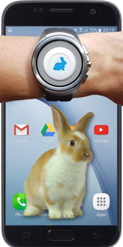 兔子在手机可爱的笑话小白兔(手机的小兔子玩笑)