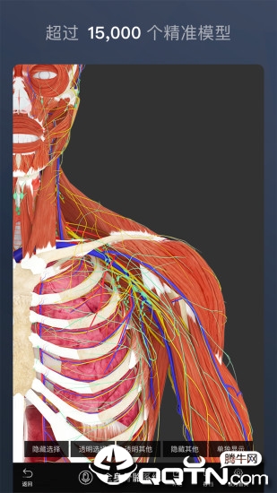 维萨里3D解剖软件截图0