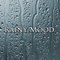 Rainy Mood汉化安卓版