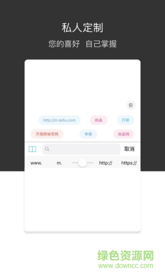 绿叶浏览器软件截图1