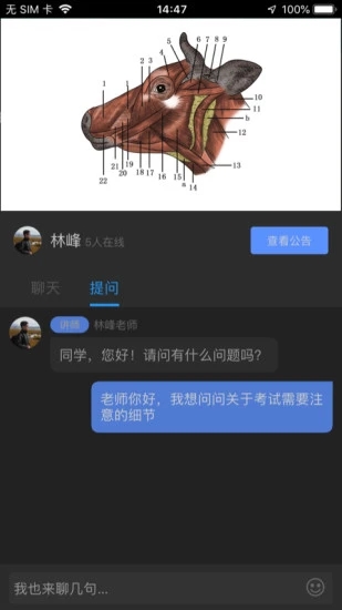 兽课网软件截图2