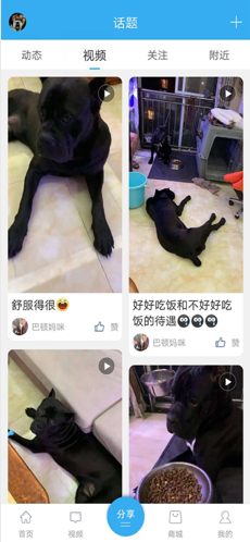 猛犬俱乐部手机版软件截图0