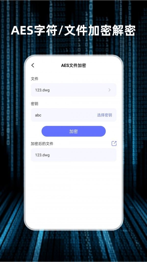 轻随机编码软件截图2