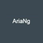 AriaNg(多线程工具)