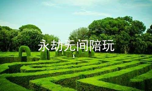 永劫无间陪玩