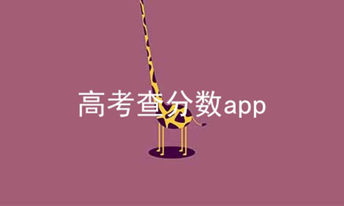 高考查分数app