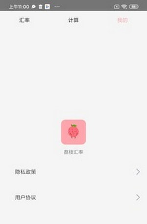 荔枝汇率软件截图2