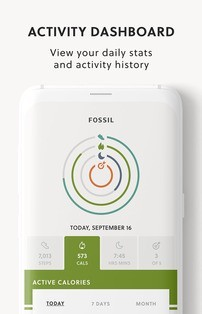 Fossil Q软件截图1