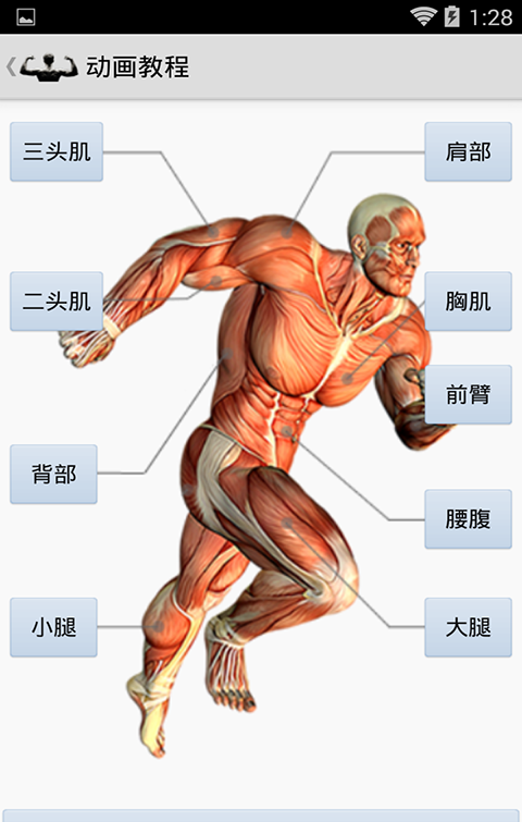 keep健身宝典软件截图1