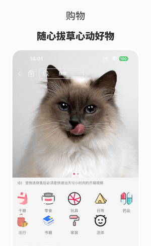 宠也软件截图2