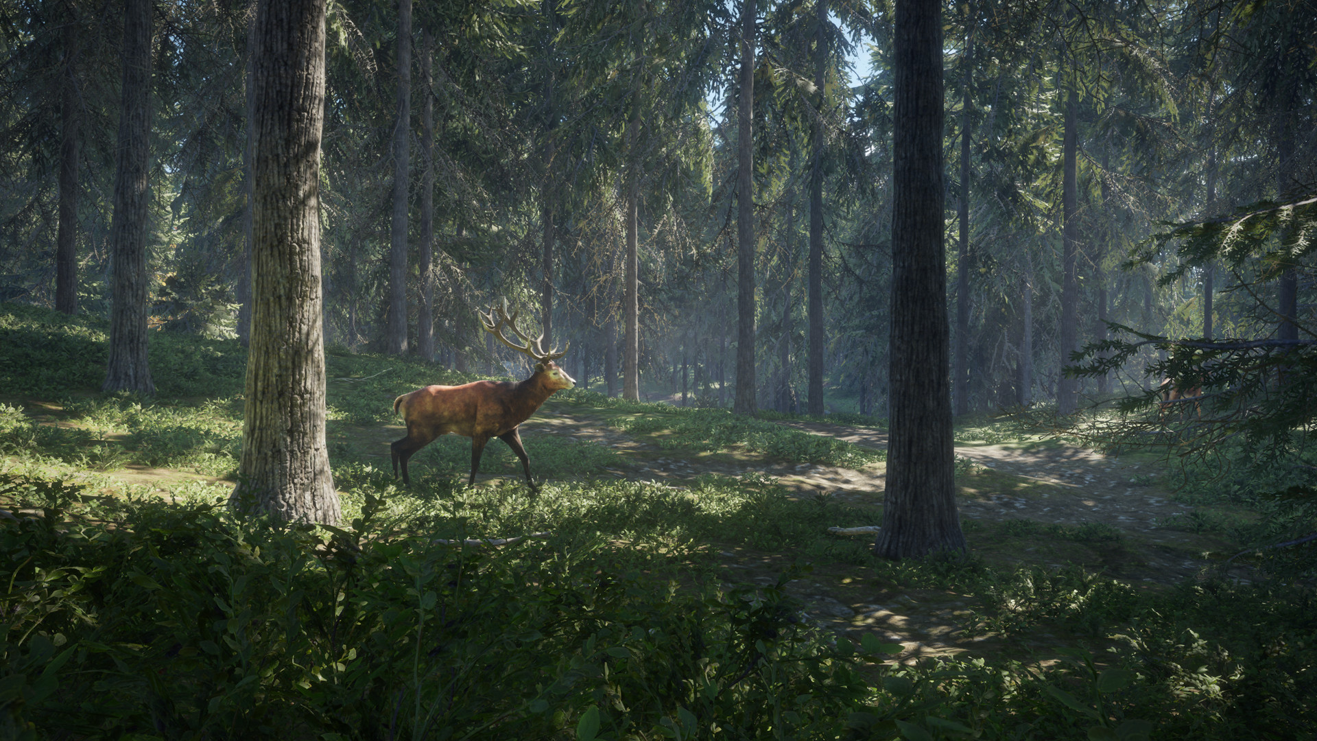 猎人：野性的呼唤（theHunter: Call of the Wild）v1.8-v1.12十三项修改器FUTUREX版下载