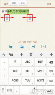 手机如何复制粘贴，如何在手机上进行复制粘贴