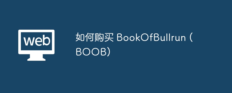 如何购买 BookOfBullrun (BOOB)