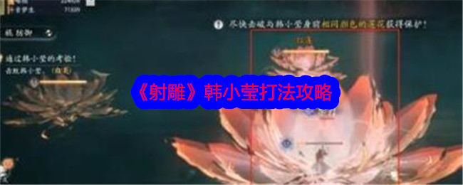 《射雕》韩小莹打法攻略