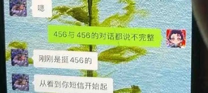 抖音456什么意思？抖音456含义解析[多图]图片2